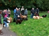 Wandeling Spier oktober 2013