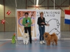 plaatsing-puppyklasse-teven