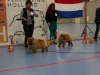   2e en 3e plaats jongste puppy reuen