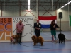   plaatsing open klasse reuen