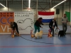   Plaatsing jongste puppy klasse teven