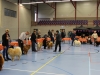 open klasse reuen in ring